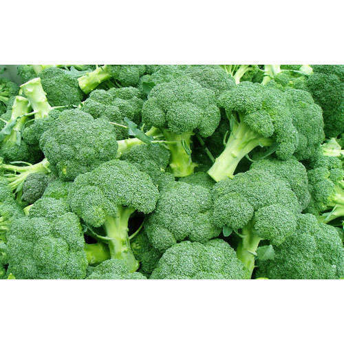 fresh-broccoli